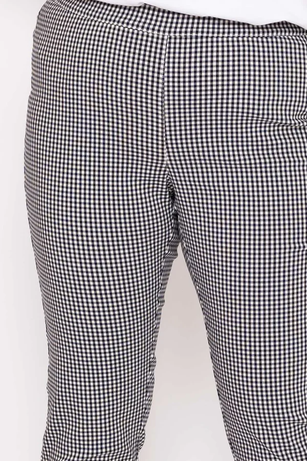 Bengaline Pants In Check Print