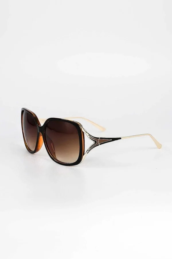 Black And Brown Contrast Arm Sunglasses