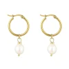 Freshwater Pearl Earrings In Gold