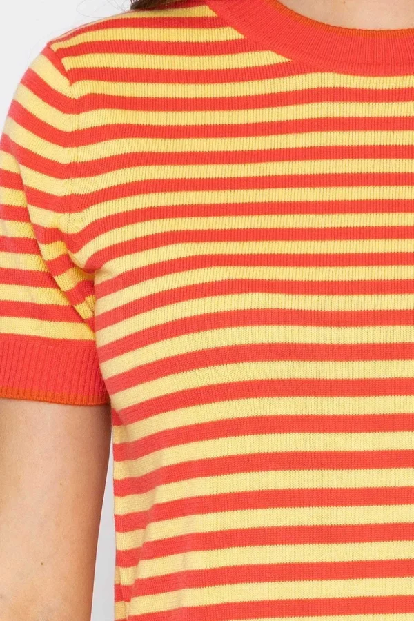 Merino Stripe Crew In Coral