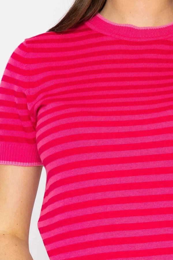 Merino Stripe Crew In Pink