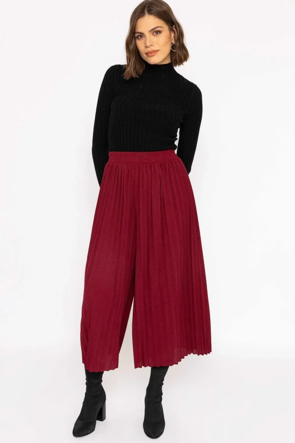 Pleated Wide Leg Pant In Burgundy