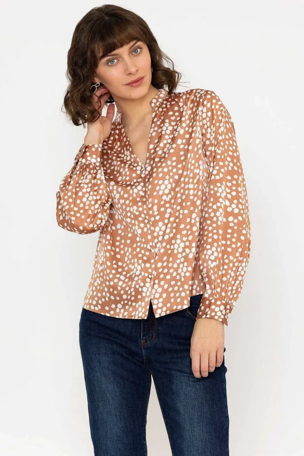 Polka Dot Print Blouse In Brown