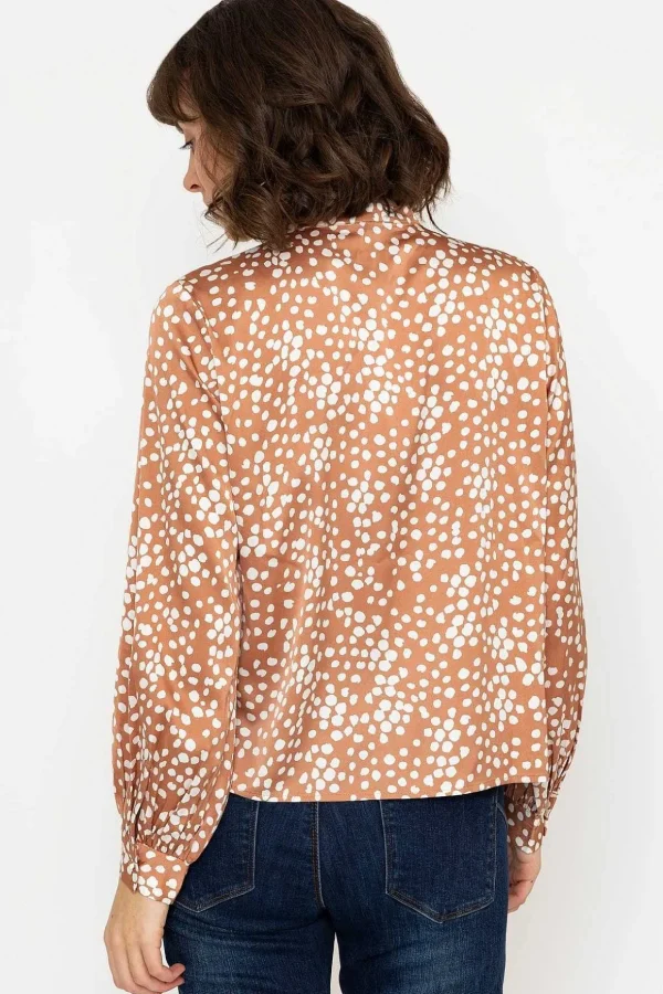 Polka Dot Print Blouse In Brown