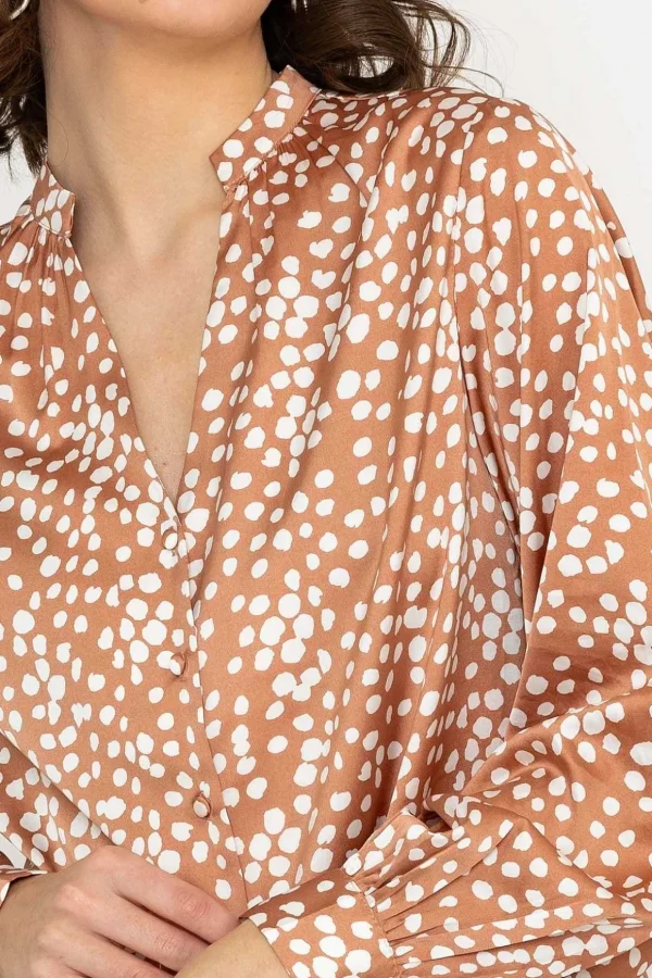 Polka Dot Print Blouse In Brown