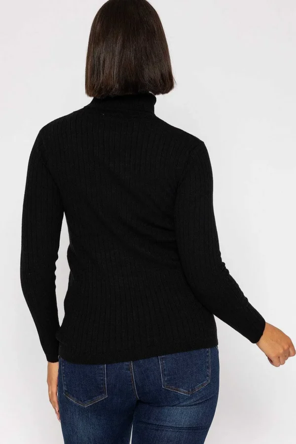 Rib Roll Neck Knit In Black