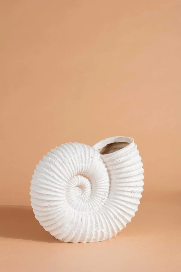 Seashell Vase