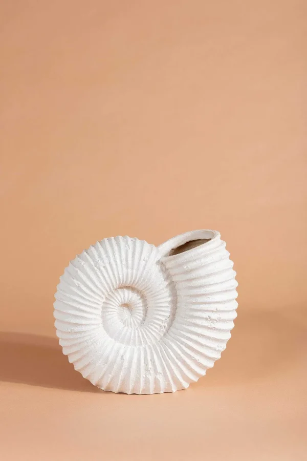 Seashell Vase