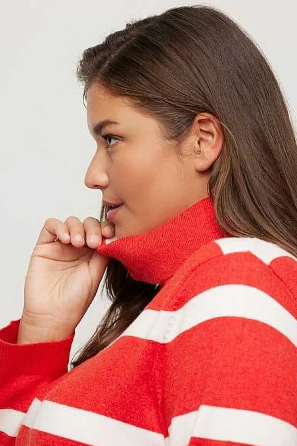 Stripe Fine Knit Turtleneck Sweater In Red