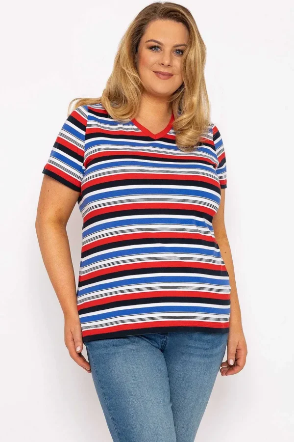 Striped Short Sleeve Top In Multi Print