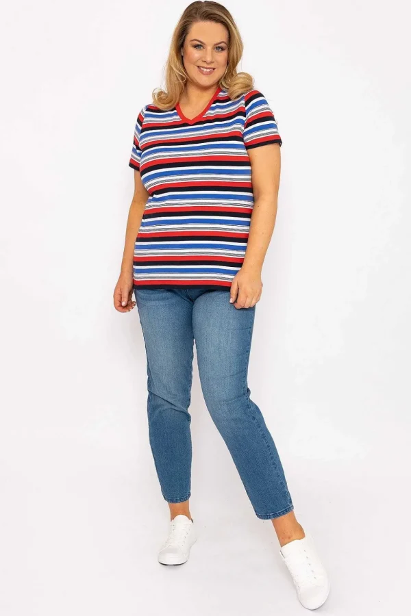 Striped Short Sleeve Top In Multi Print