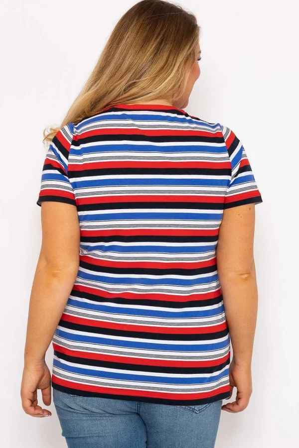 Striped Short Sleeve Top In Multi Print