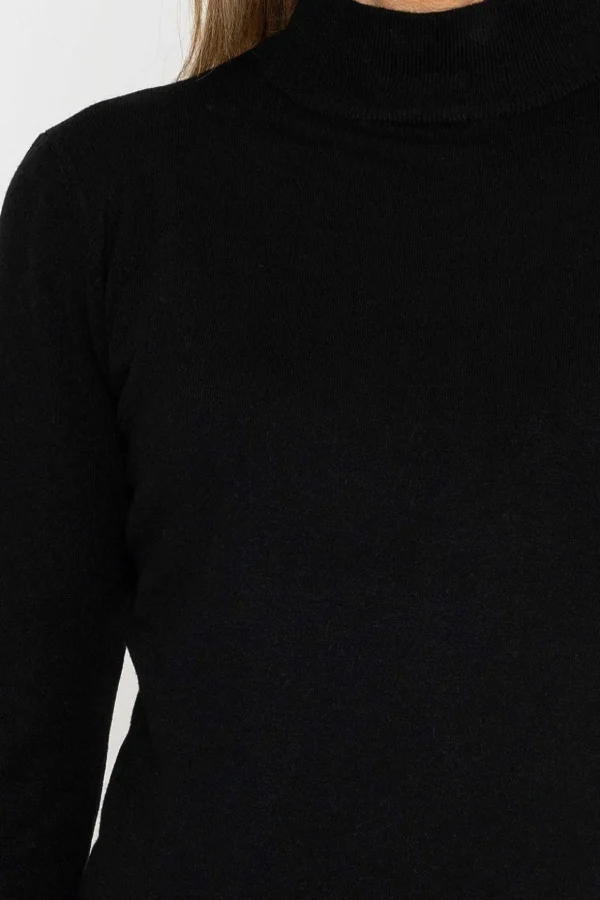 Turtleneck Knit In Black